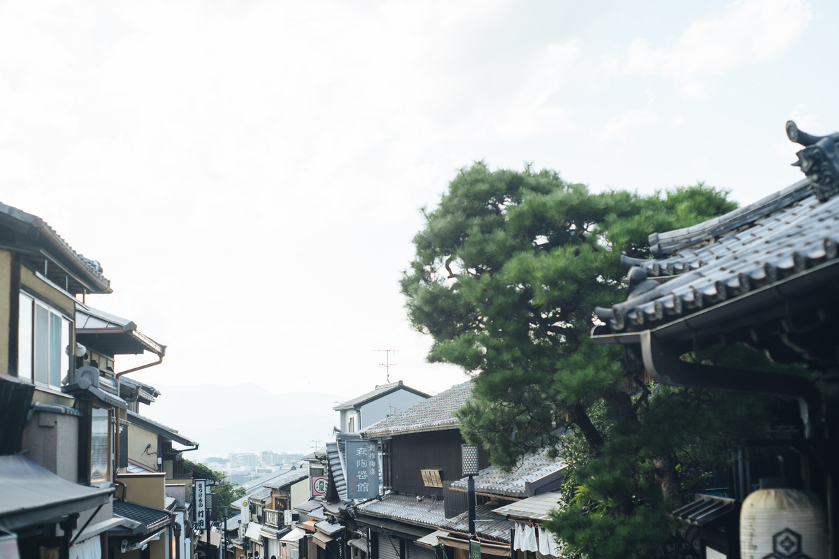 Tree and Rooves of Traditional Houses in Japan